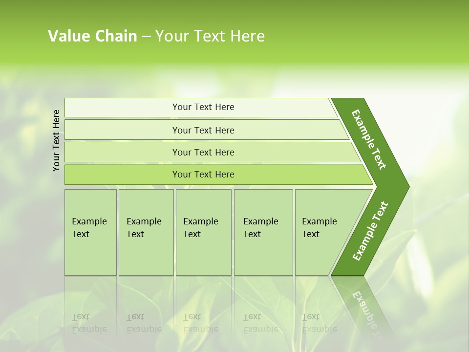 A Green Leafy Plant Is Shown In This Powerpoint Presentation PowerPoint Template