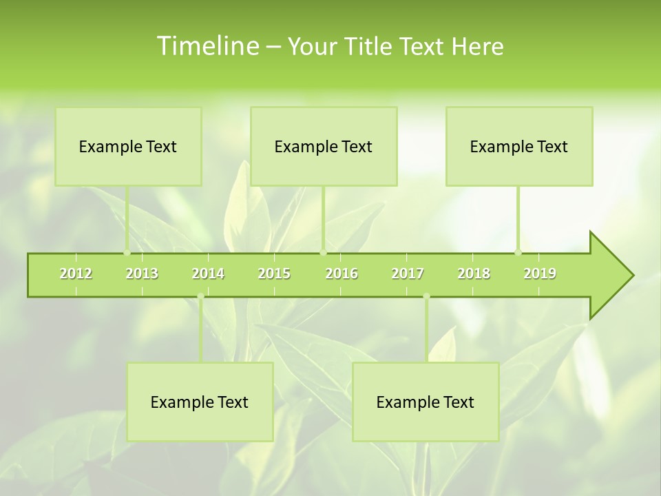 A Green Leafy Plant Is Shown In This Powerpoint Presentation PowerPoint Template