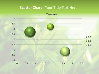 A Green Leafy Plant Is Shown In This Powerpoint Presentation PowerPoint Template