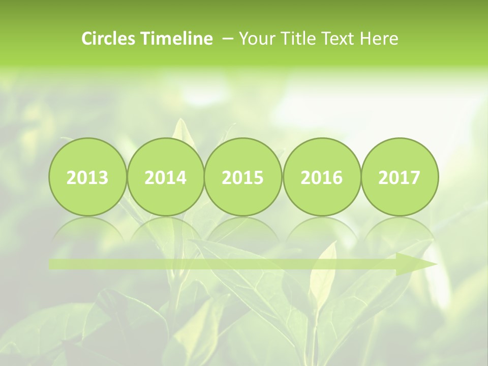 A Green Leafy Plant Is Shown In This Powerpoint Presentation PowerPoint Template