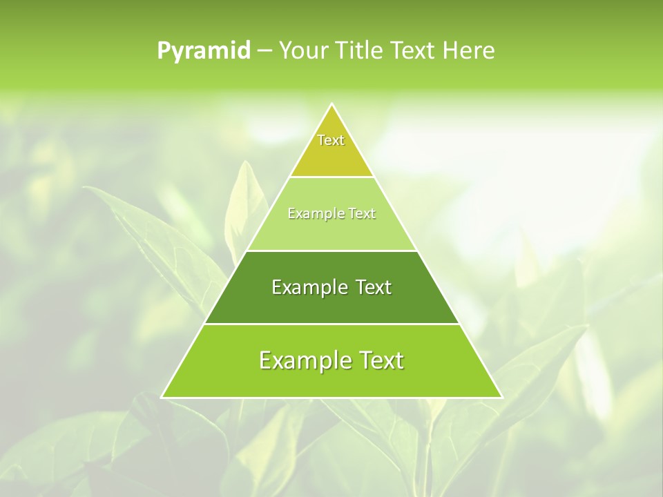 A Green Leafy Plant Is Shown In This Powerpoint Presentation PowerPoint Template