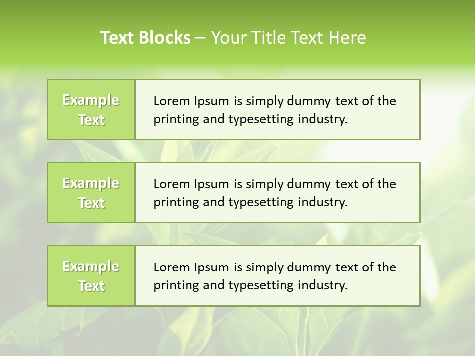 A Green Leafy Plant Is Shown In This Powerpoint Presentation PowerPoint Template