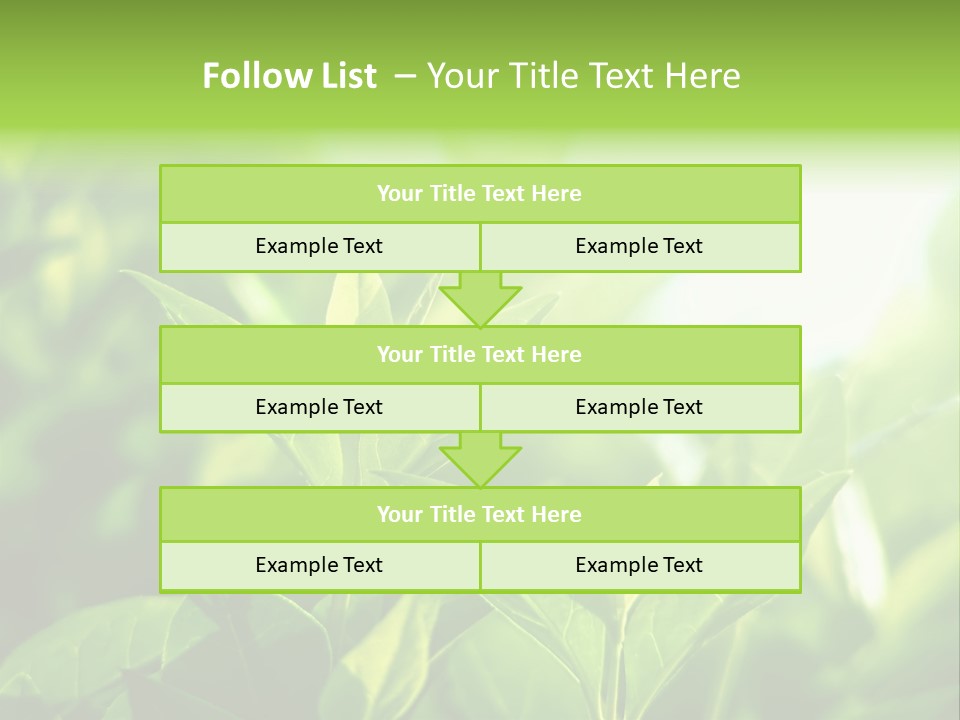 A Green Leafy Plant Is Shown In This Powerpoint Presentation PowerPoint Template