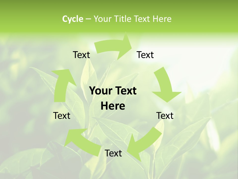 A Green Leafy Plant Is Shown In This Powerpoint Presentation PowerPoint Template