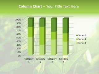 A Green Leafy Plant Is Shown In This Powerpoint Presentation PowerPoint Template