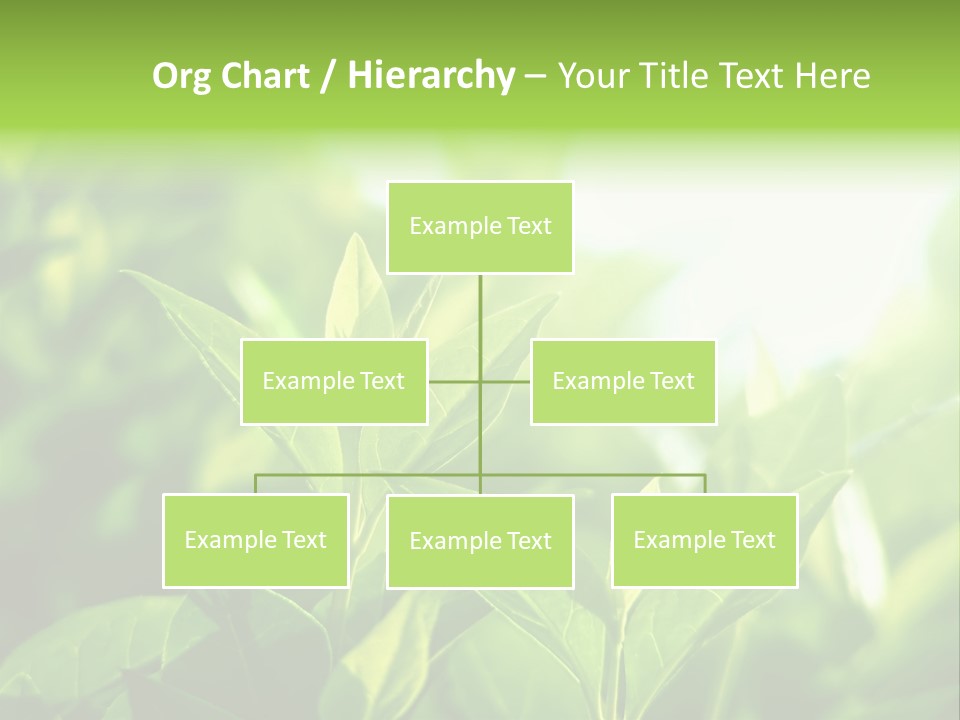 A Green Leafy Plant Is Shown In This Powerpoint Presentation PowerPoint Template
