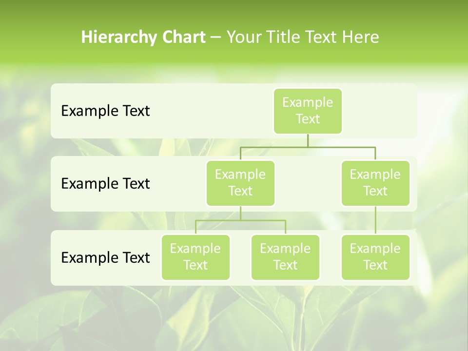 A Green Leafy Plant Is Shown In This Powerpoint Presentation PowerPoint Template