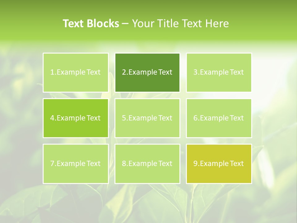 A Green Leafy Plant Is Shown In This Powerpoint Presentation PowerPoint Template
