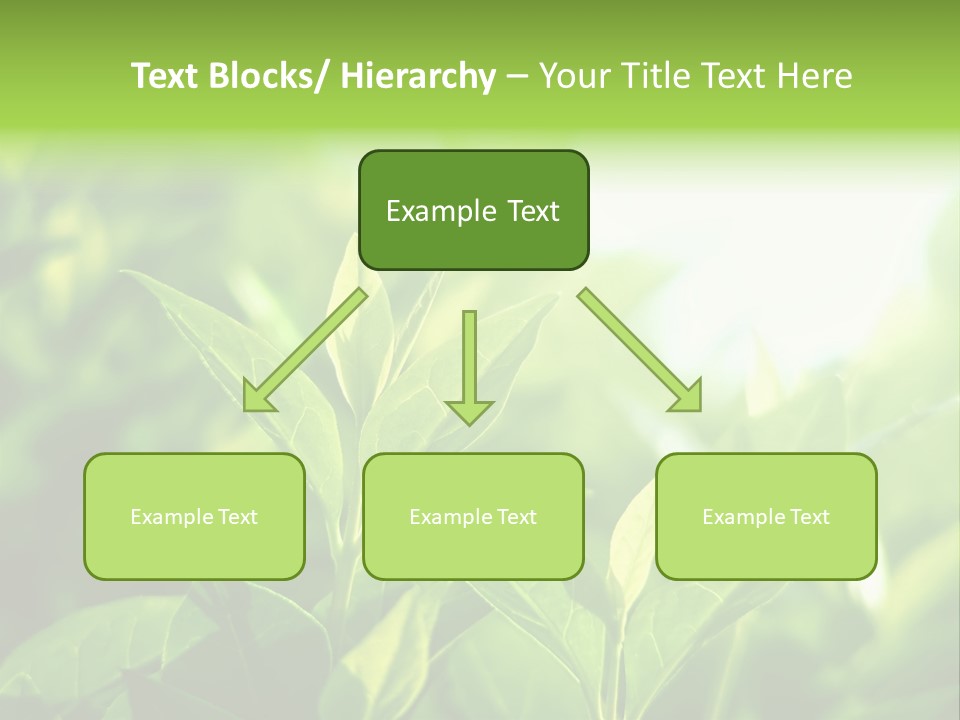 A Green Leafy Plant Is Shown In This Powerpoint Presentation PowerPoint Template