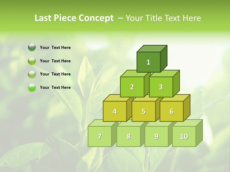 A Green Leafy Plant Is Shown In This Powerpoint Presentation PowerPoint Template