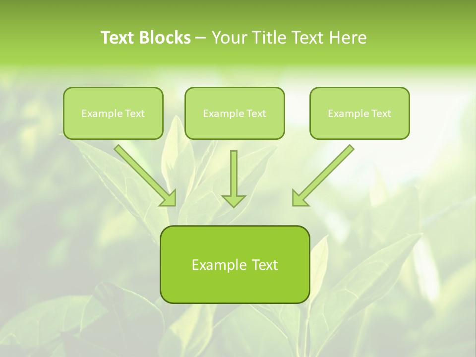 A Green Leafy Plant Is Shown In This Powerpoint Presentation PowerPoint Template