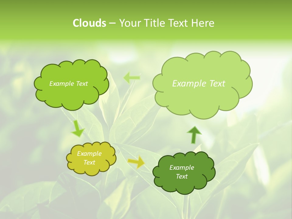 A Green Leafy Plant Is Shown In This Powerpoint Presentation PowerPoint Template