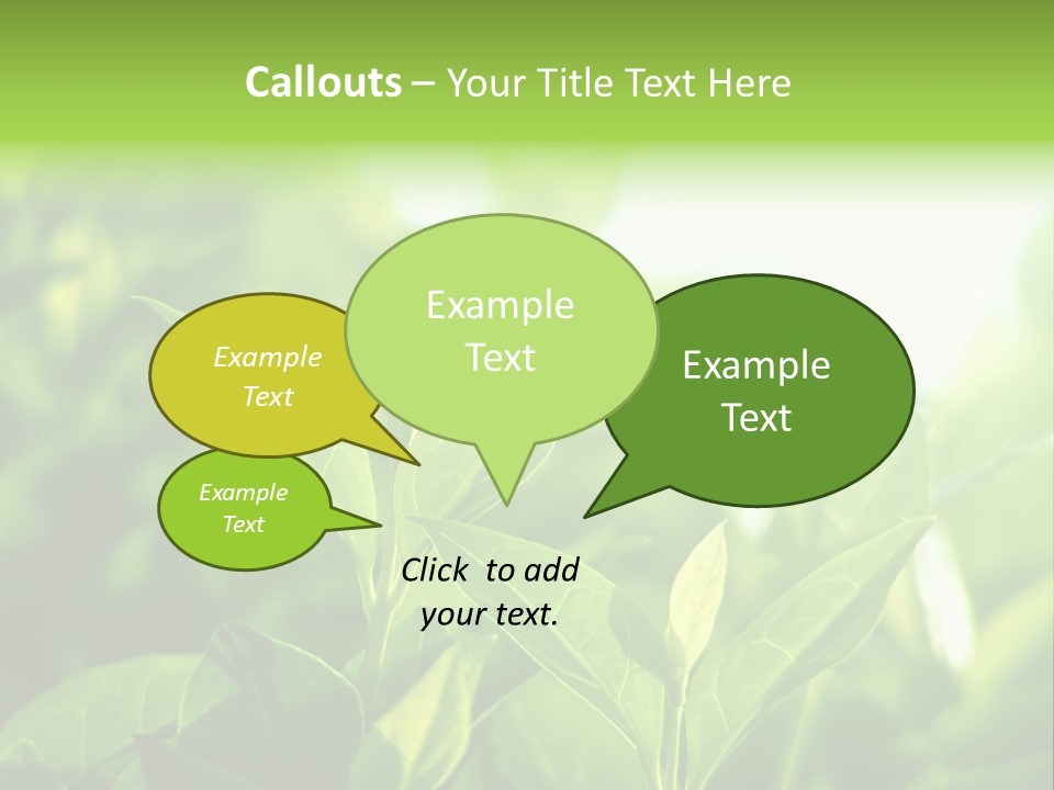 A Green Leafy Plant Is Shown In This Powerpoint Presentation PowerPoint Template