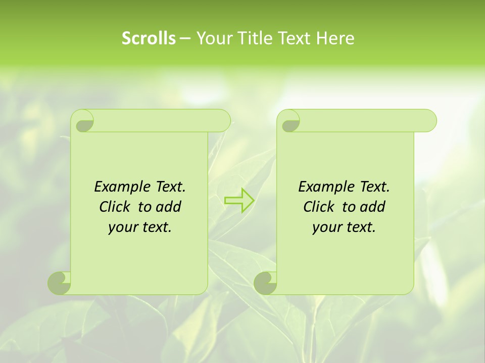 A Green Leafy Plant Is Shown In This Powerpoint Presentation PowerPoint Template
