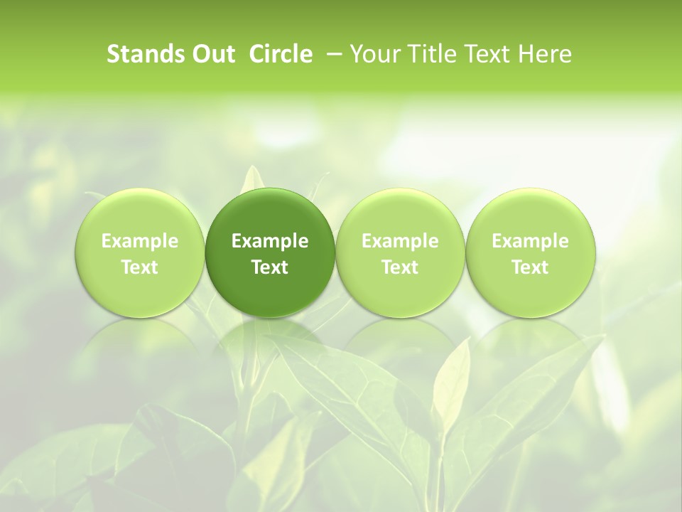A Green Leafy Plant Is Shown In This Powerpoint Presentation PowerPoint Template