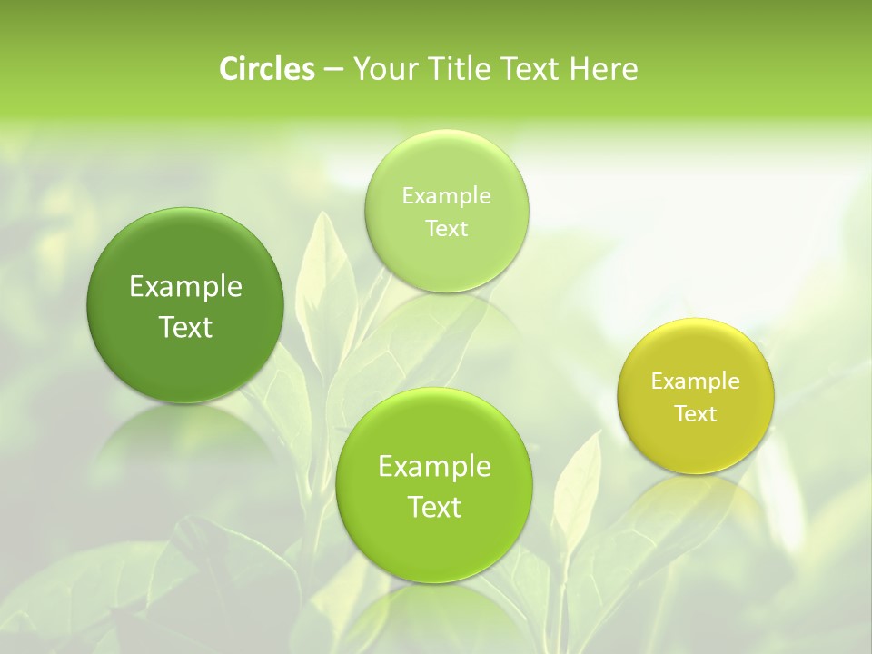 A Green Leafy Plant Is Shown In This Powerpoint Presentation PowerPoint Template