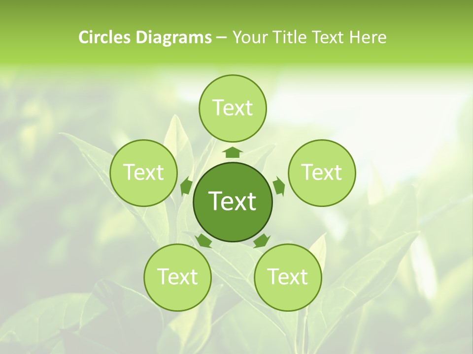 A Green Leafy Plant Is Shown In This Powerpoint Presentation PowerPoint Template