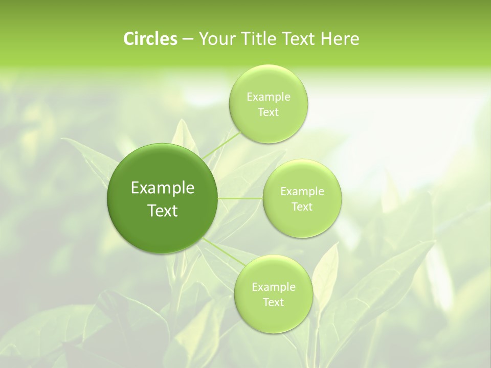 A Green Leafy Plant Is Shown In This Powerpoint Presentation PowerPoint Template