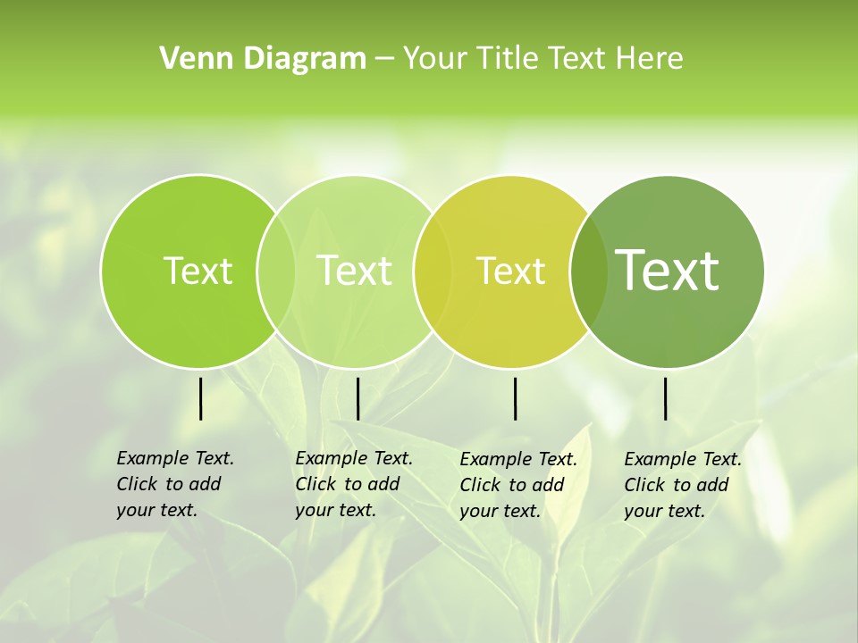 A Green Leafy Plant Is Shown In This Powerpoint Presentation PowerPoint Template