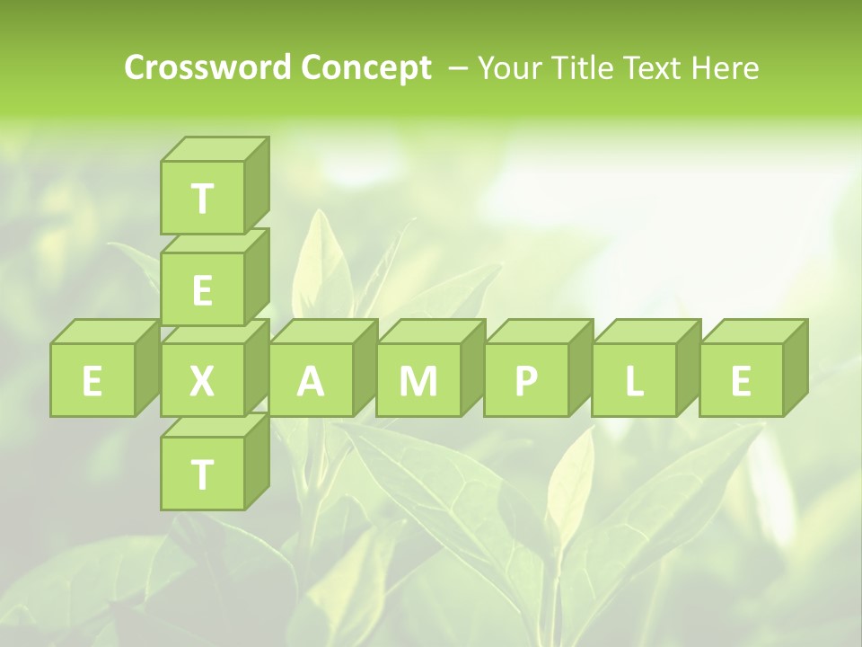 A Green Leafy Plant Is Shown In This Powerpoint Presentation PowerPoint Template