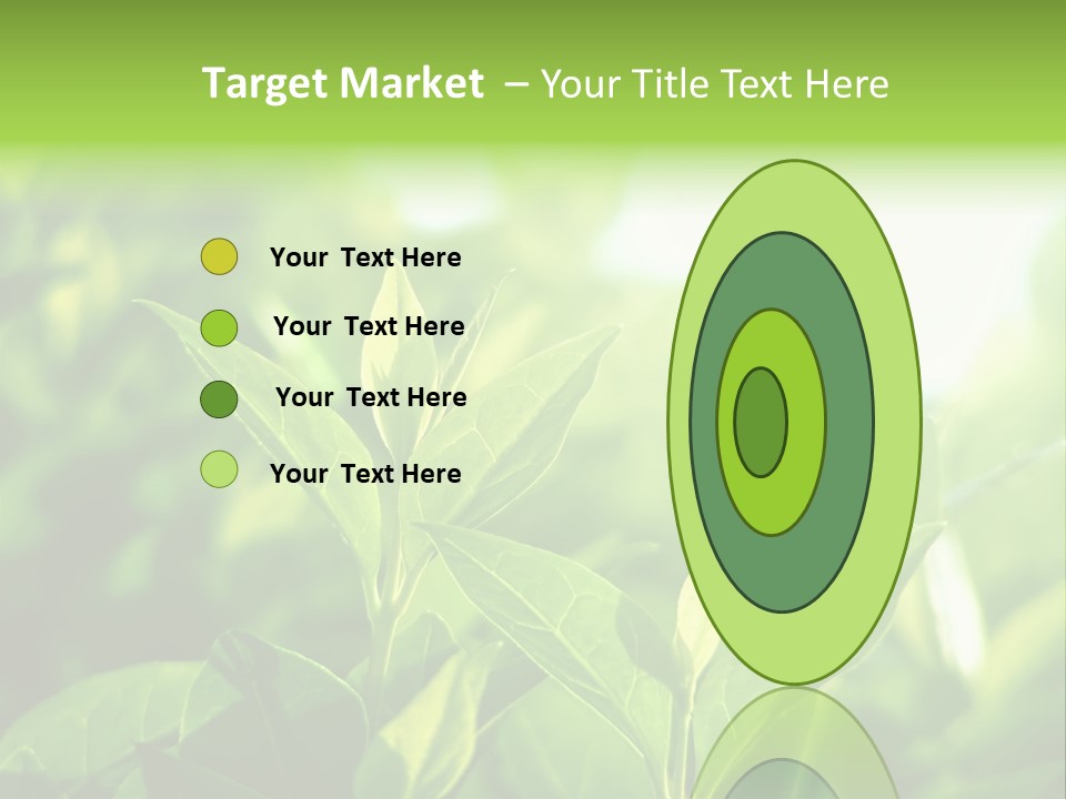 A Green Leafy Plant Is Shown In This Powerpoint Presentation PowerPoint Template
