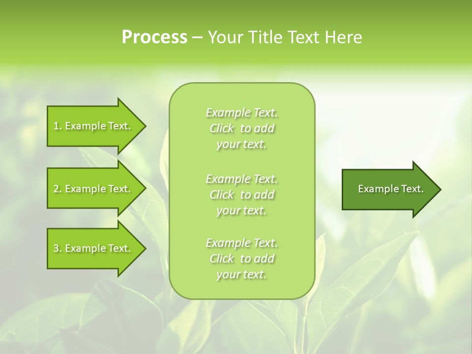 A Green Leafy Plant Is Shown In This Powerpoint Presentation PowerPoint Template