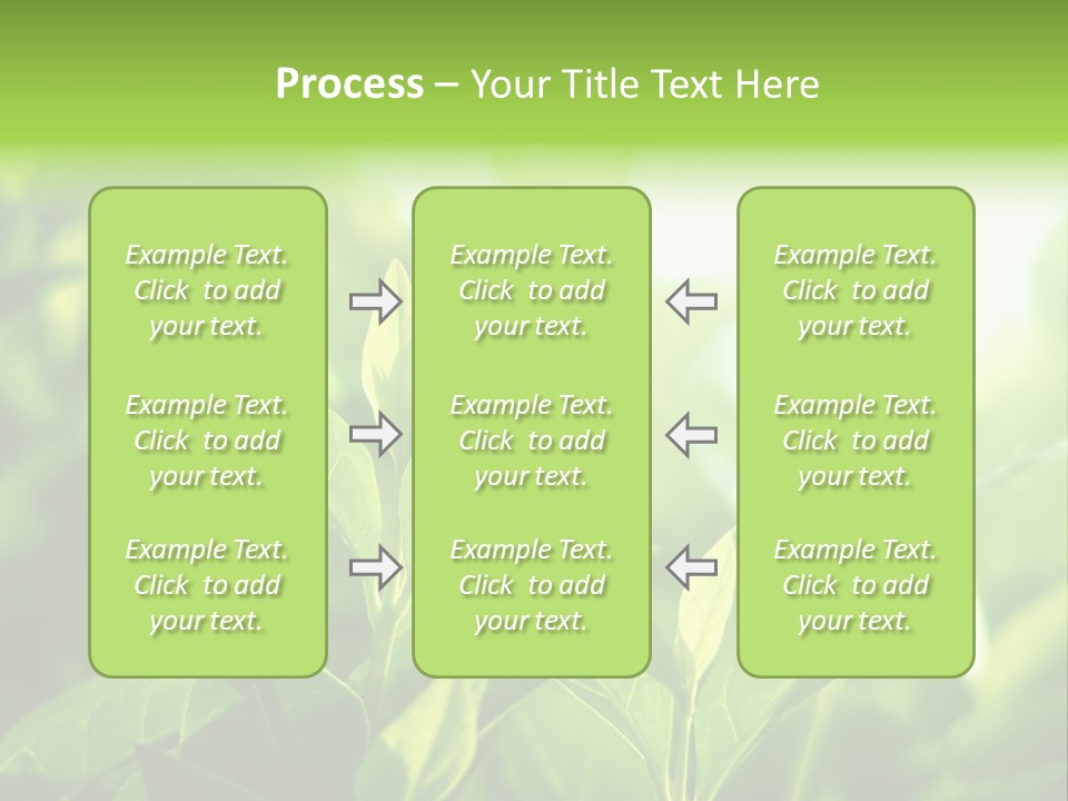 A Green Leafy Plant Is Shown In This Powerpoint Presentation PowerPoint Template
