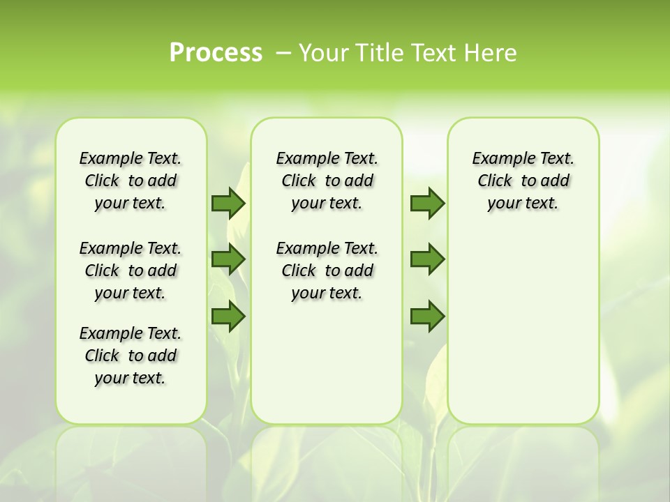 A Green Leafy Plant Is Shown In This Powerpoint Presentation PowerPoint Template
