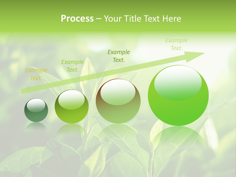A Green Leafy Plant Is Shown In This Powerpoint Presentation PowerPoint Template
