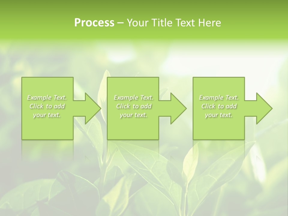 A Green Leafy Plant Is Shown In This Powerpoint Presentation PowerPoint Template