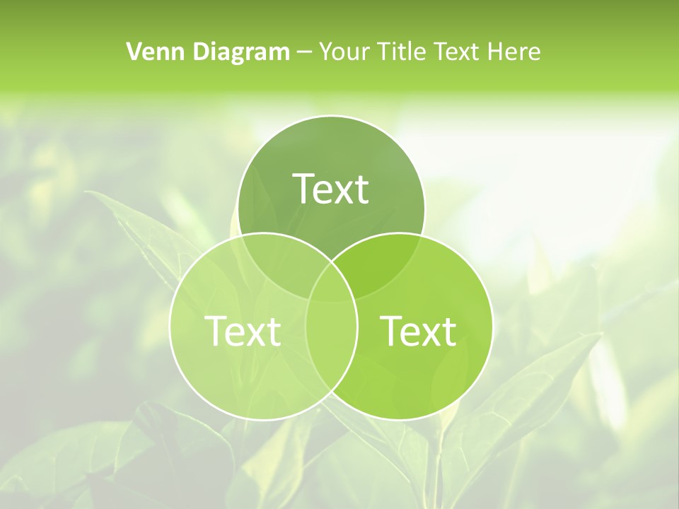 A Green Leafy Plant Is Shown In This Powerpoint Presentation PowerPoint Template