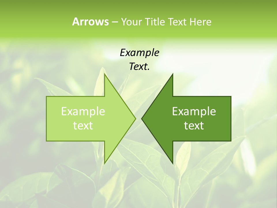 A Green Leafy Plant Is Shown In This Powerpoint Presentation PowerPoint Template