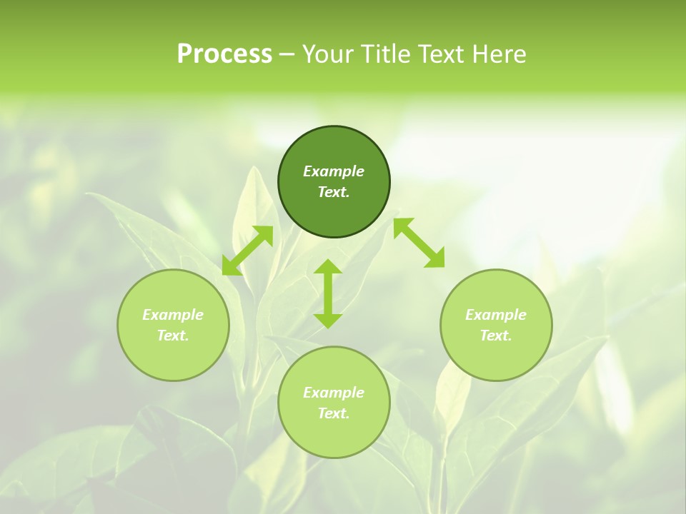 A Green Leafy Plant Is Shown In This Powerpoint Presentation PowerPoint Template