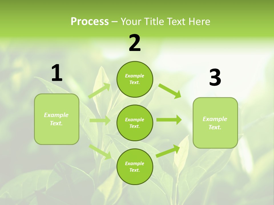 A Green Leafy Plant Is Shown In This Powerpoint Presentation PowerPoint Template