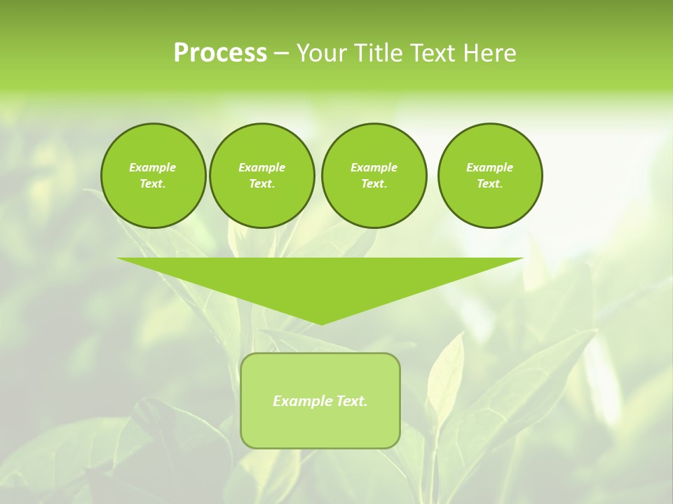 A Green Leafy Plant Is Shown In This Powerpoint Presentation PowerPoint Template