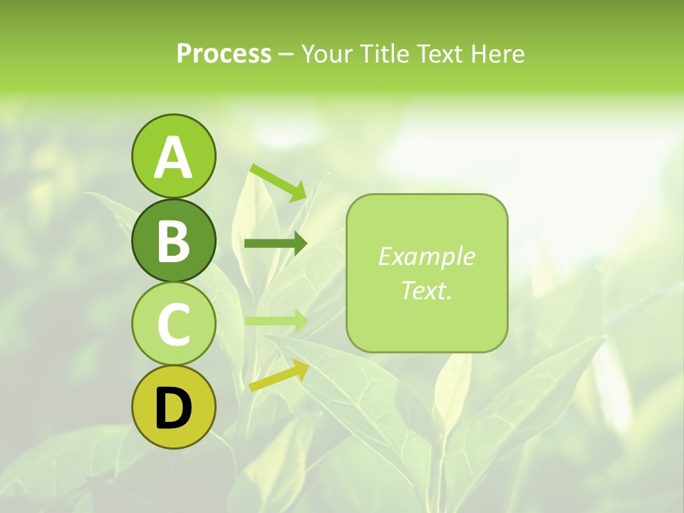 A Green Leafy Plant Is Shown In This Powerpoint Presentation PowerPoint Template