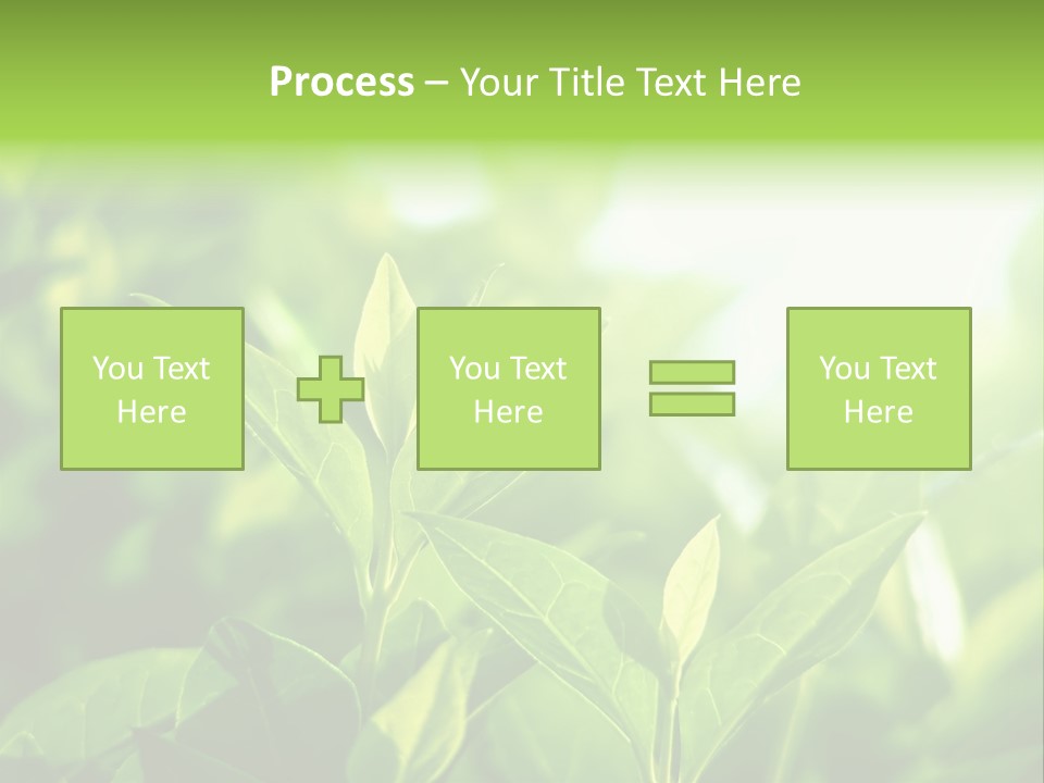 A Green Leafy Plant Is Shown In This Powerpoint Presentation PowerPoint Template