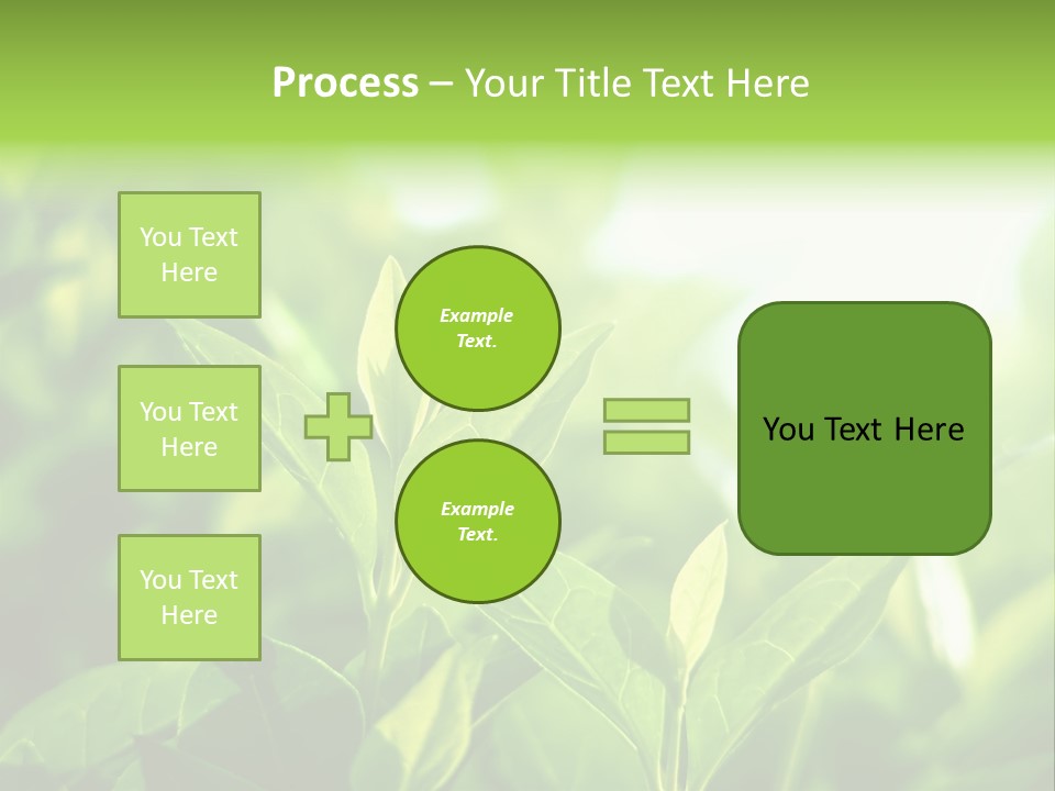 A Green Leafy Plant Is Shown In This Powerpoint Presentation PowerPoint Template