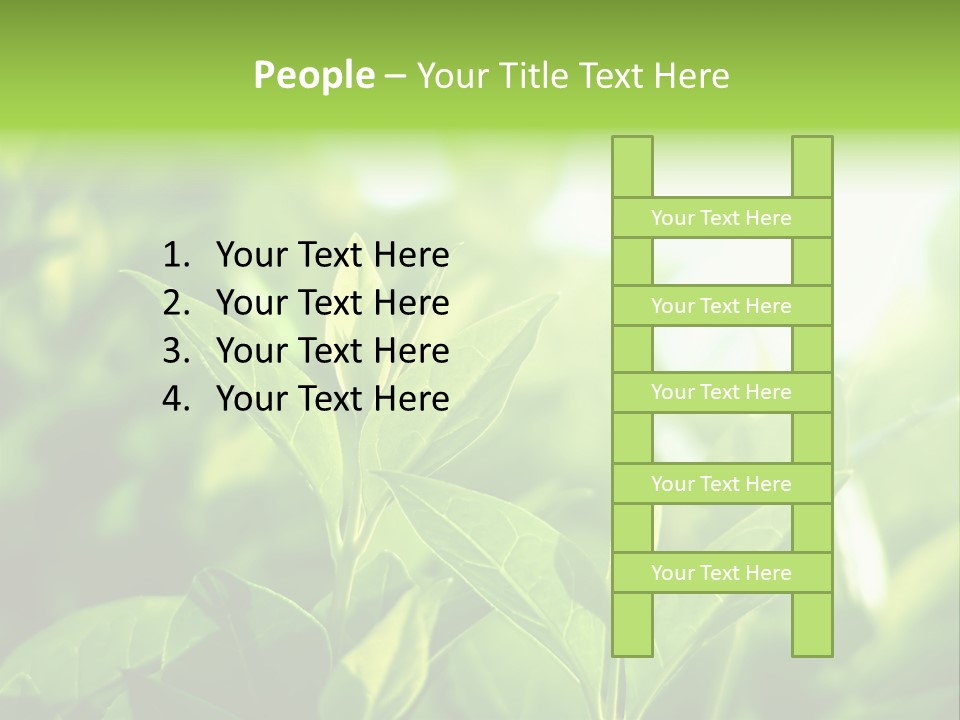A Green Leafy Plant Is Shown In This Powerpoint Presentation PowerPoint Template