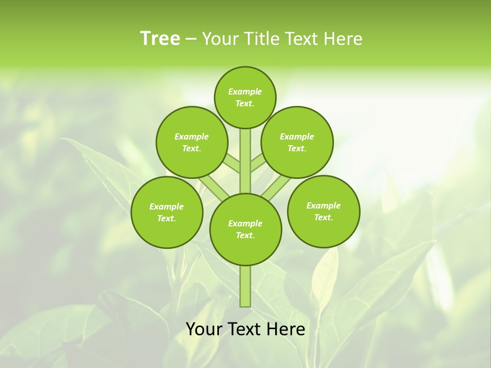 A Green Leafy Plant Is Shown In This Powerpoint Presentation PowerPoint Template