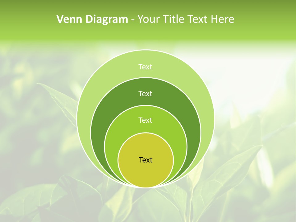 A Green Leafy Plant Is Shown In This Powerpoint Presentation PowerPoint Template