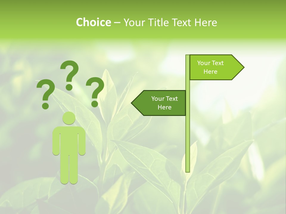 A Green Leafy Plant Is Shown In This Powerpoint Presentation PowerPoint Template