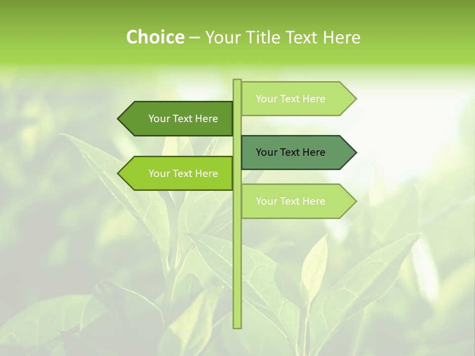 A Green Leafy Plant Is Shown In This Powerpoint Presentation PowerPoint Template