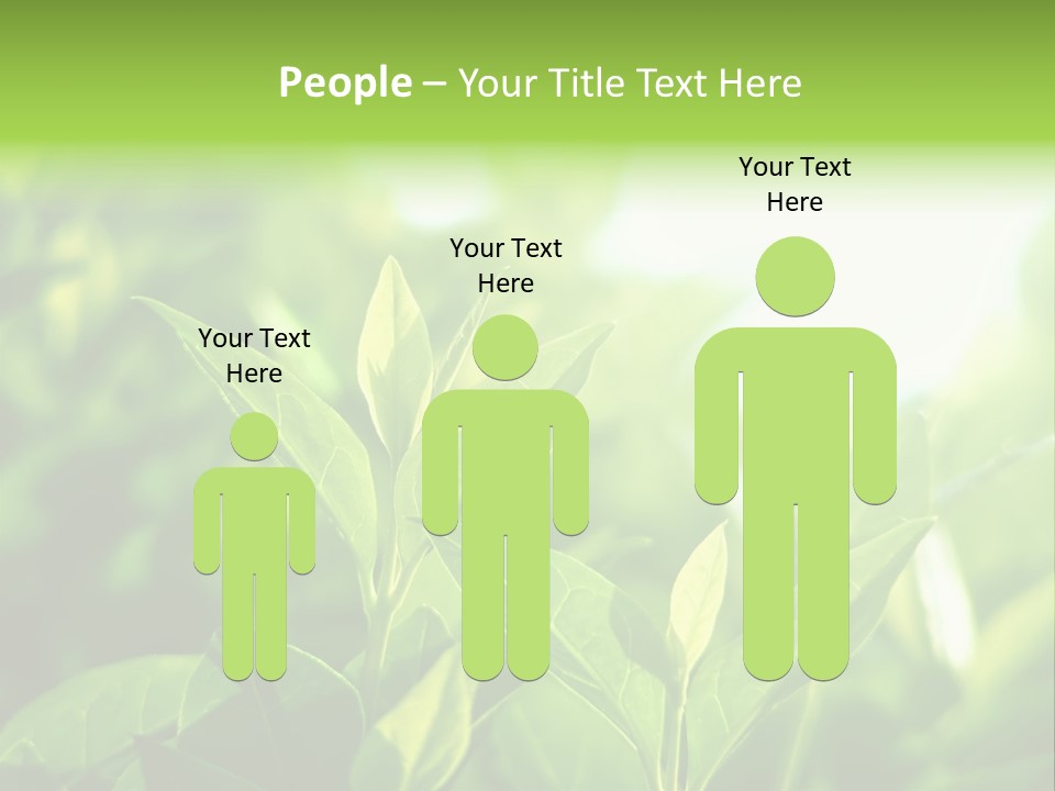 A Green Leafy Plant Is Shown In This Powerpoint Presentation PowerPoint Template