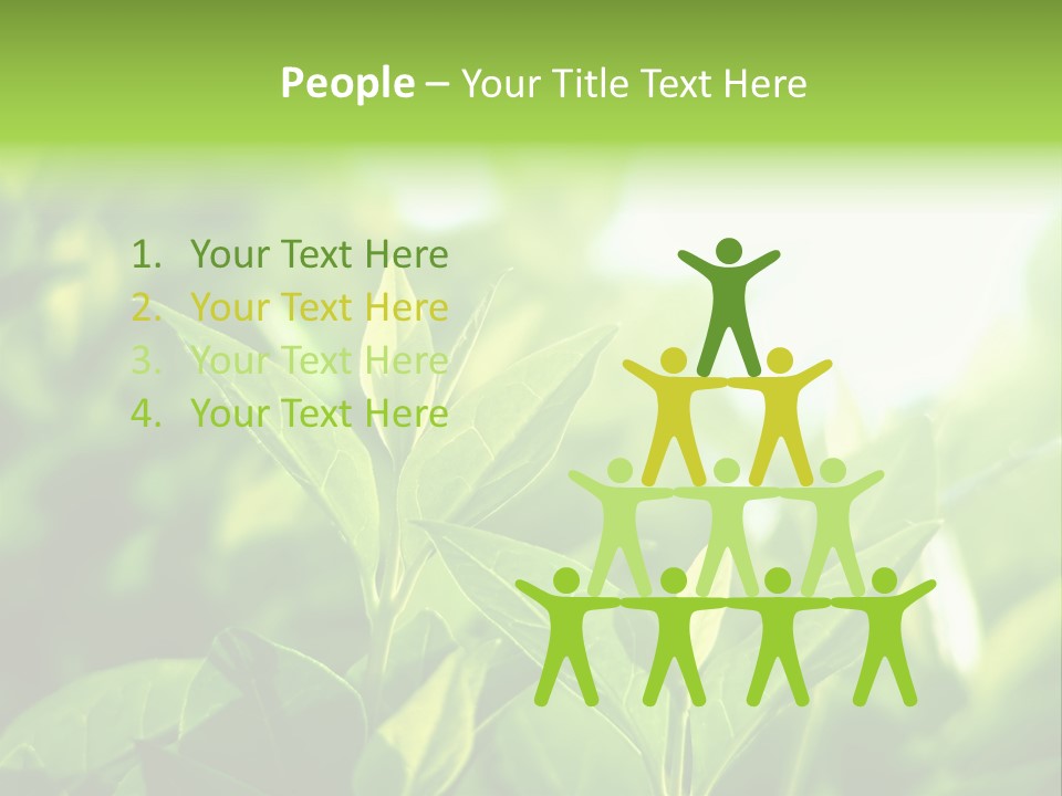 A Green Leafy Plant Is Shown In This Powerpoint Presentation PowerPoint Template