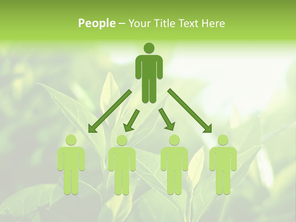 A Green Leafy Plant Is Shown In This Powerpoint Presentation PowerPoint Template