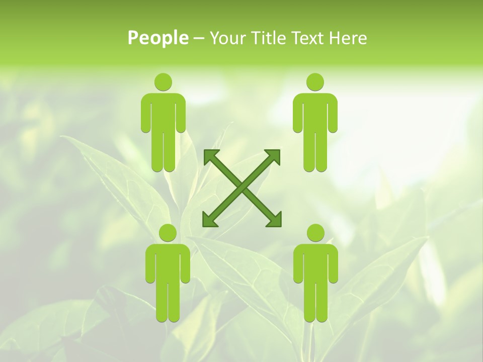 A Green Leafy Plant Is Shown In This Powerpoint Presentation PowerPoint Template