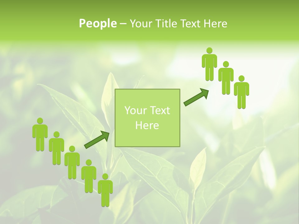 A Green Leafy Plant Is Shown In This Powerpoint Presentation PowerPoint Template