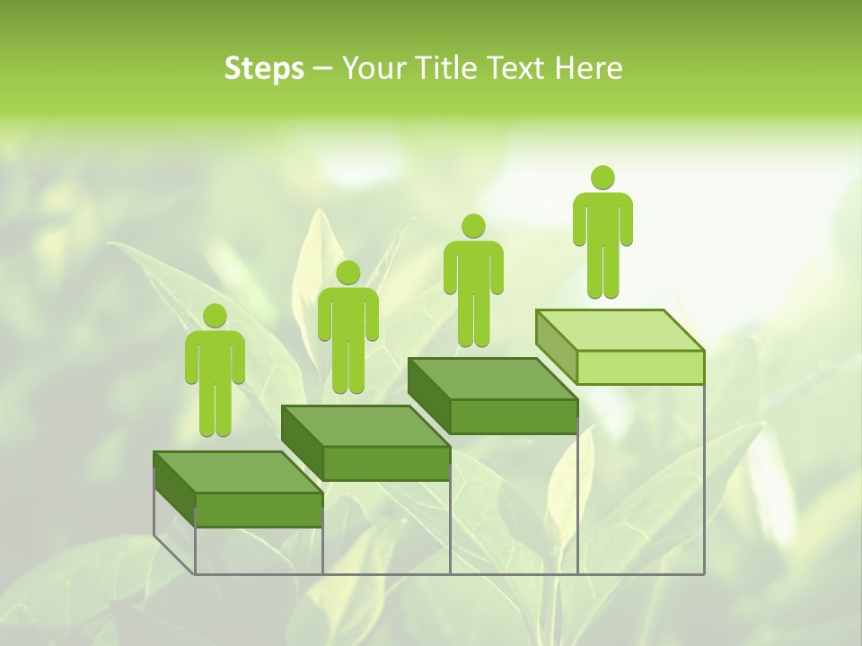 A Green Leafy Plant Is Shown In This Powerpoint Presentation PowerPoint Template