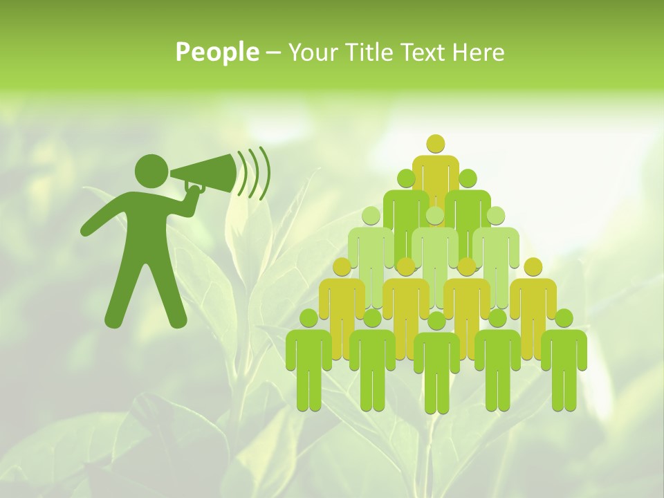 A Green Leafy Plant Is Shown In This Powerpoint Presentation PowerPoint Template